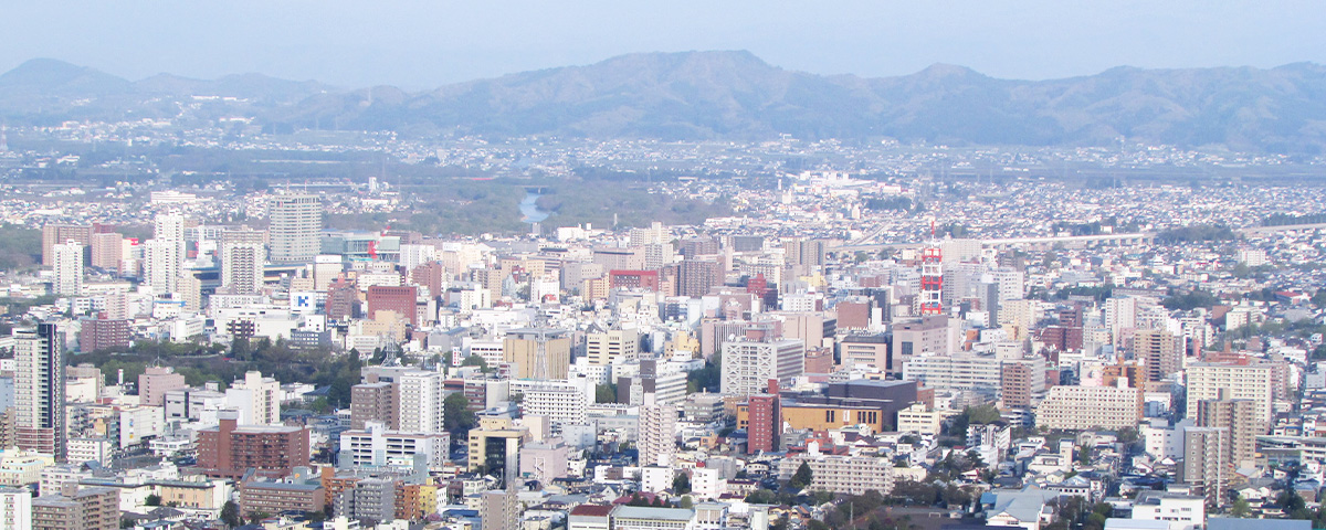 事業内容